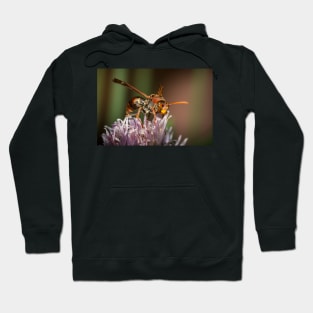 Paper Wasp Hoodie